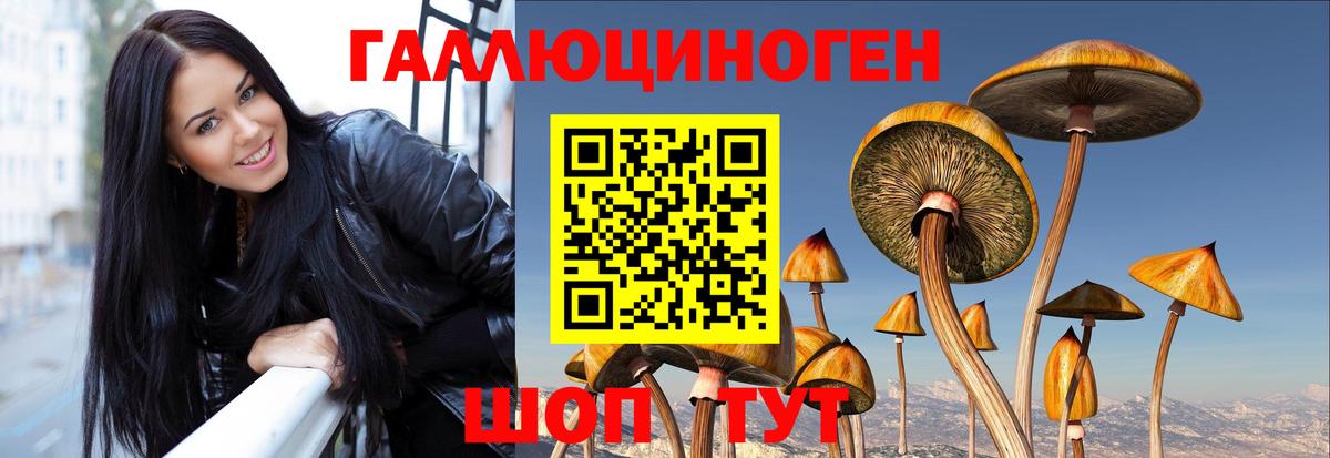 Кимовск  Псилоцибиновые грибы ЛСД  купить наркотики сайты  Вход с VPN  Псилоцибиновые грибы Psilocybine cubensis 